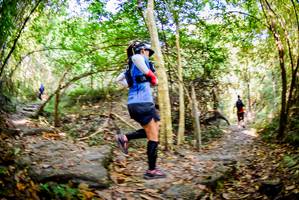 BIB: 
                            <button type="button" onclick="openModal(7048409)" class="btn btn-primary btn-sm float-right btn-popup" data-toggle="modal" data-target=".modal-high-quality">
                        <i class="fas fa-shopping-cart"></i> Add to Cart
                    </button>
                                            <button type="button" onclick="isThisMe(7048409, true)" class="btn btn-success btn-sm float-right btn-popup btn-isme hidden" data-toggle="tooltip" data-placement="bottom" title="นี่คือรูปของคุณใช่ไหม คลิกที่นี่เพื่อเอาเข้าอัลบั้ม">
                        <i class="fas fa-plus"></i> Add to album
                    </button>
                    <button type="button" onclick="isThisMe(7048409, false)" class="btn btn-warning btn-sm float-right btn-popup btn-isnotme hidden">
                        <i class="fas fa-ban"></i> Remove from album
                    </button>